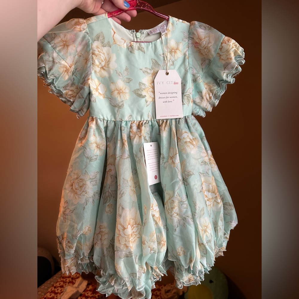 ✨Ivy City Co Evermore Puff Dress NWT ✨